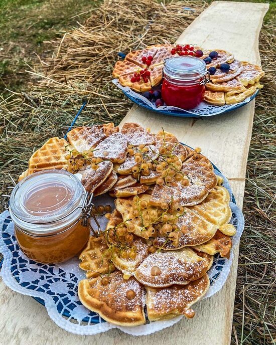 (7) Pankūku pikniks Vectēva dārzā